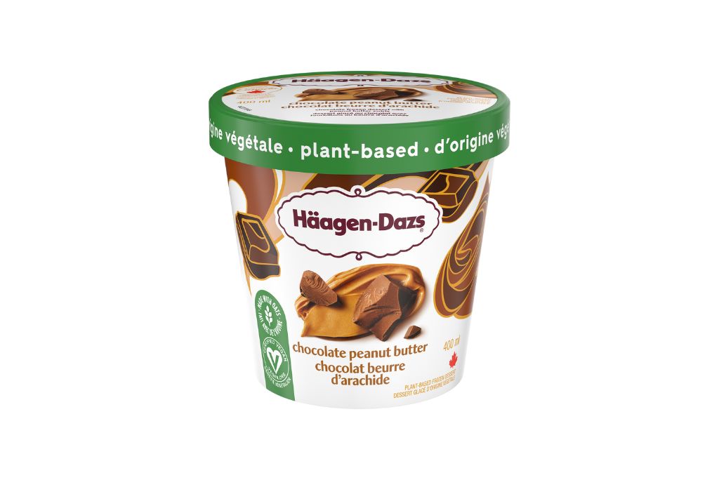 Best Vegan Ice Cream Brands 6