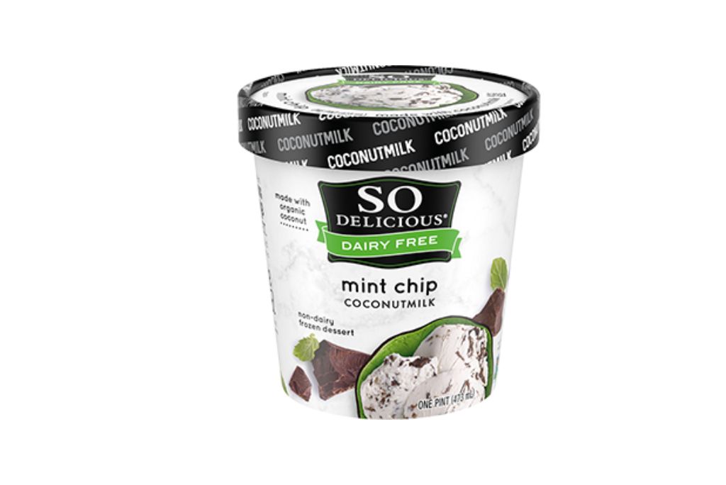 Best Vegan Ice Cream Brands 2