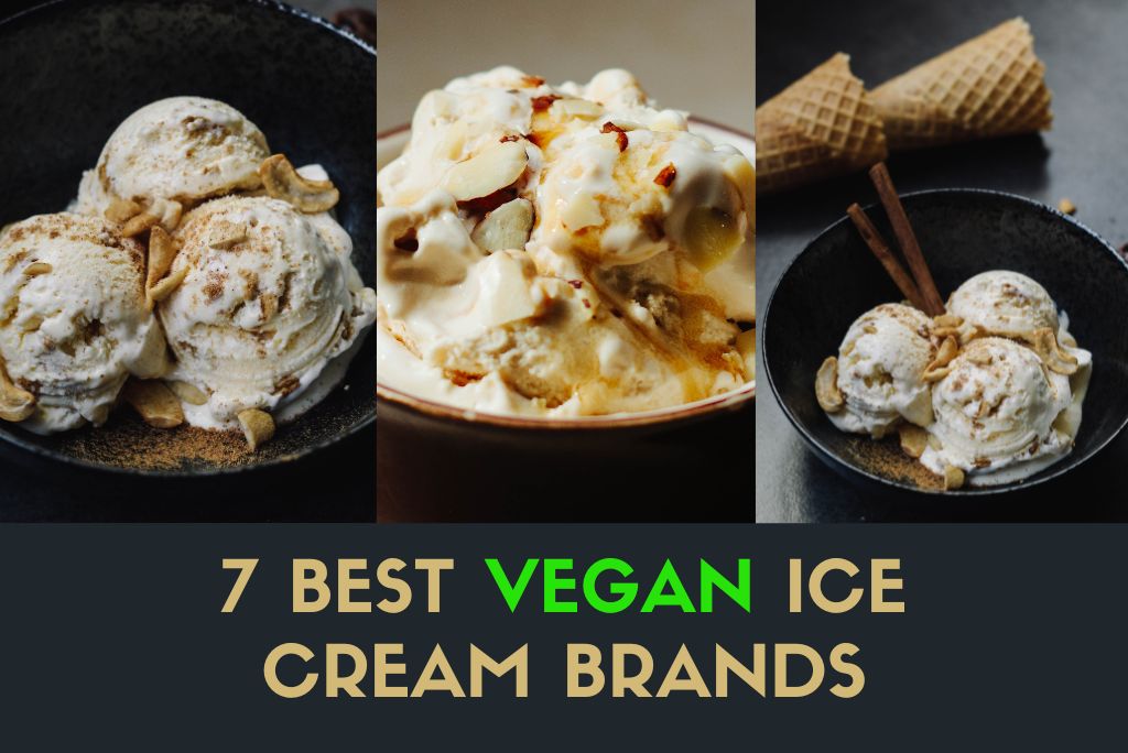 best vegan ice cream brands